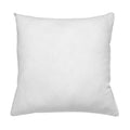 Imbottitura cuscino quadrata bianca - 60x60