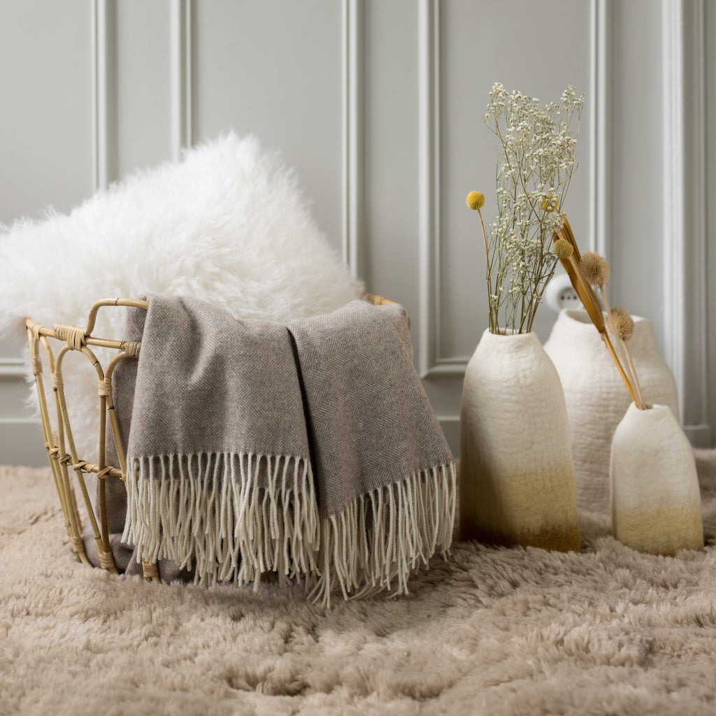https://www.maisonvivaraise.com/phototheque/hd/1170015000_PS2.jpg