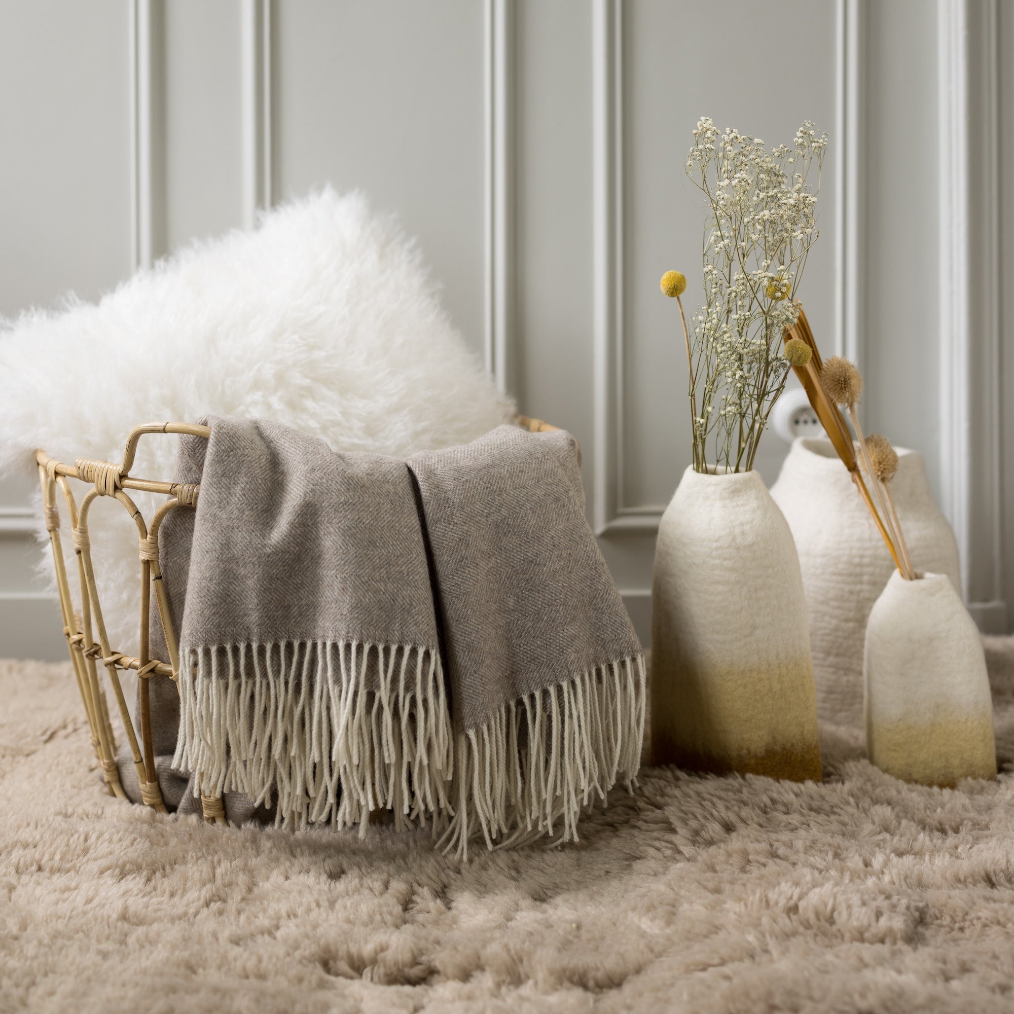 https://www.maisonvivaraise.com/phototheque/hd/1170015000_PS2.jpg