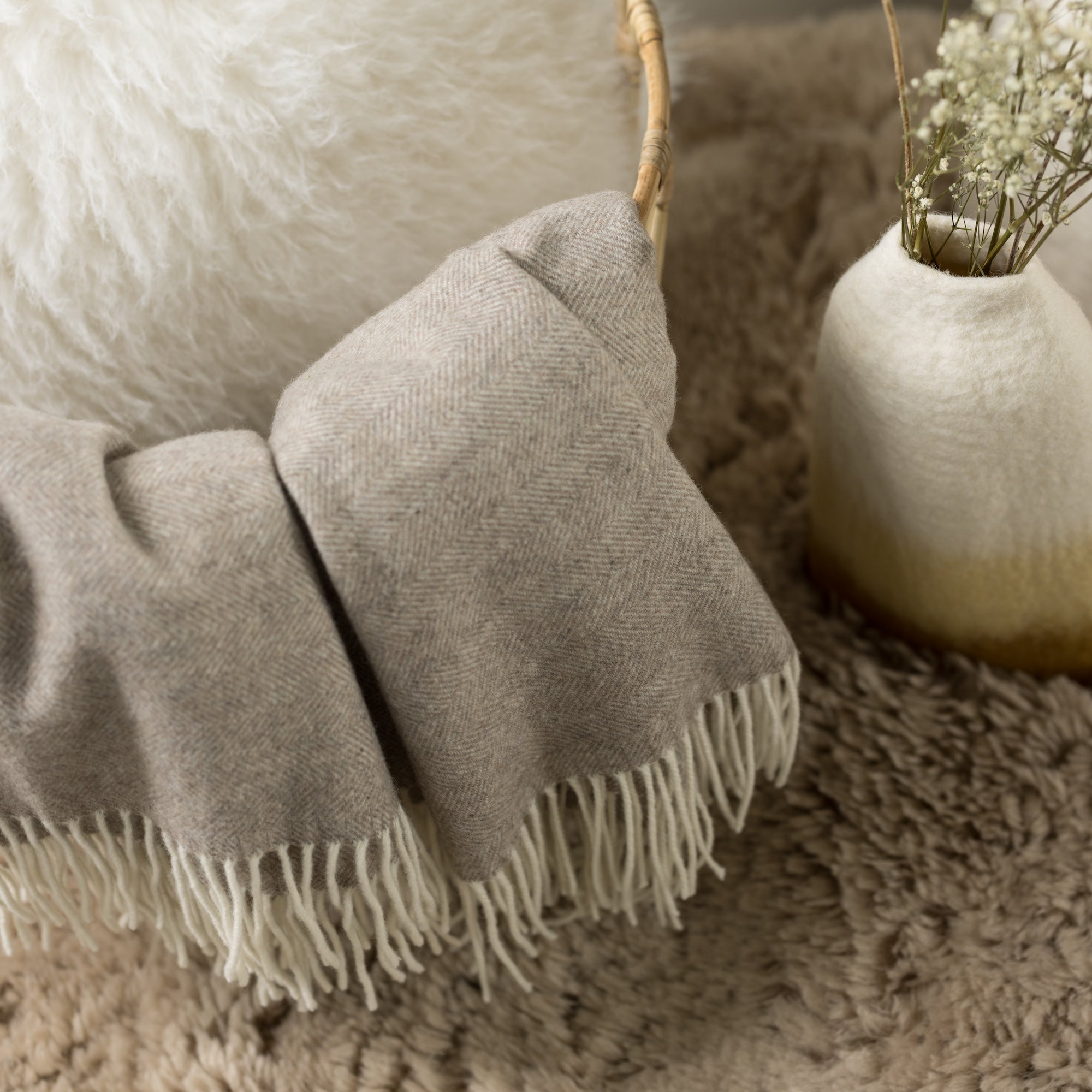 https://www.maisonvivaraise.com/phototheque/hd/1170015000_PS3.jpg