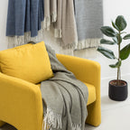https://www.maisonvivaraise.com/phototheque/hd/1170025000_PS2.jpg