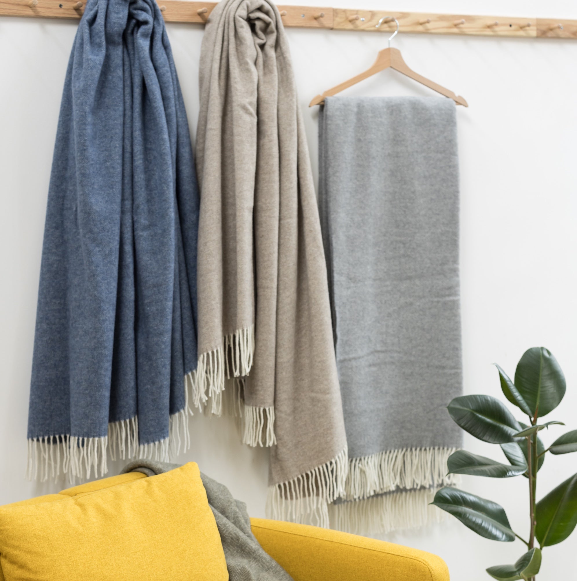 https://www.maisonvivaraise.com/phototheque/hd/1170070000_PS4.jpg