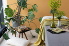 https://www.maisonvivaraise.com/phototheque/hd/1171010000_PS2.jpg