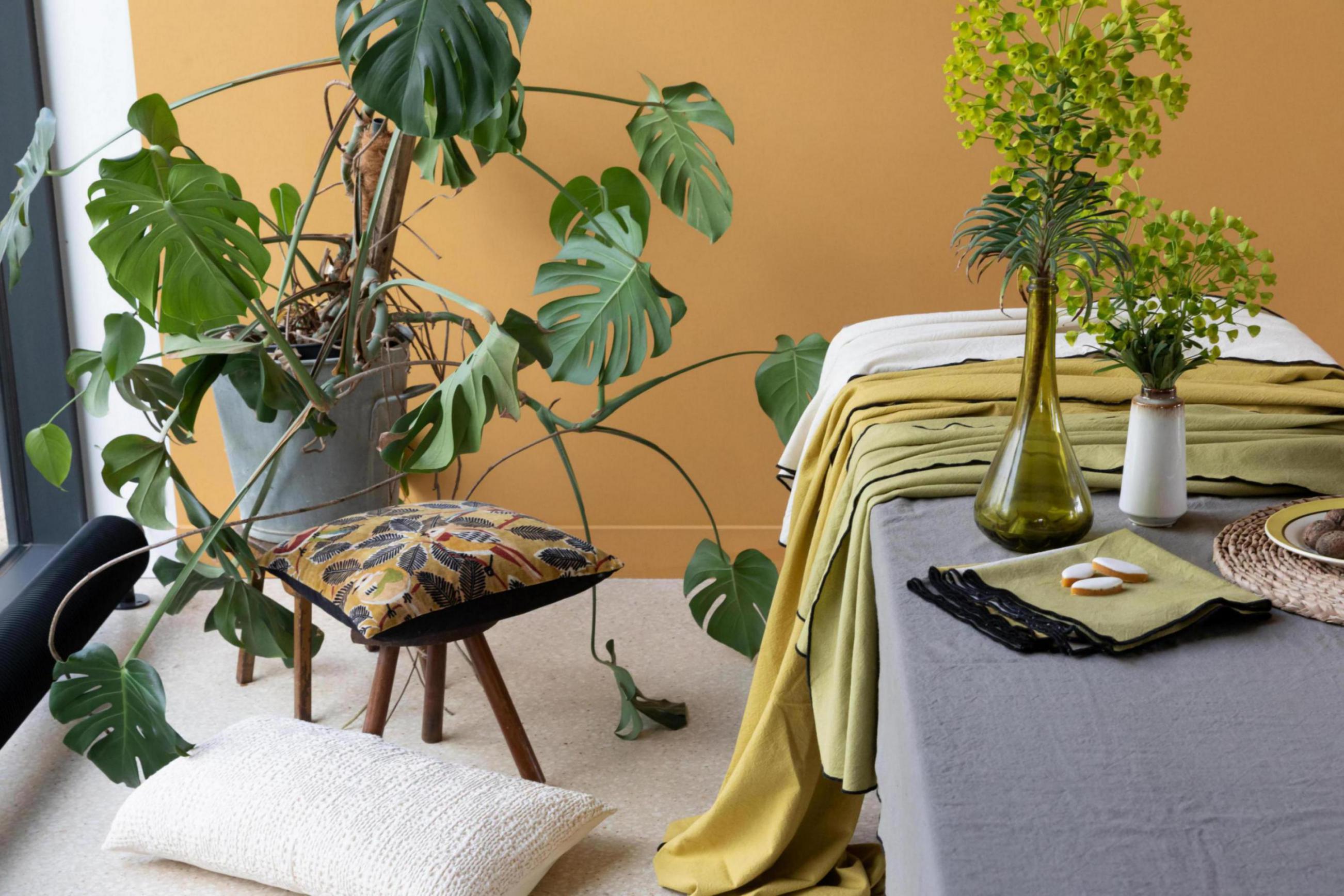 https://www.maisonvivaraise.com/phototheque/hd/1171010000_PS2.jpg