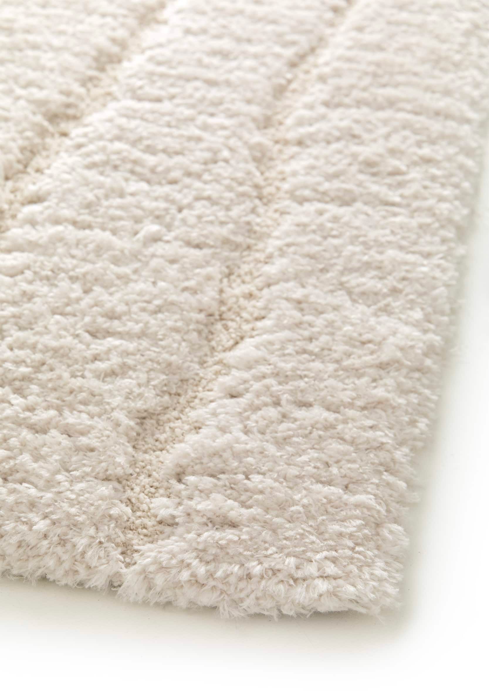 https://www.maisonvivaraise.com/phototheque/hd/1206015000_PS4.jpg