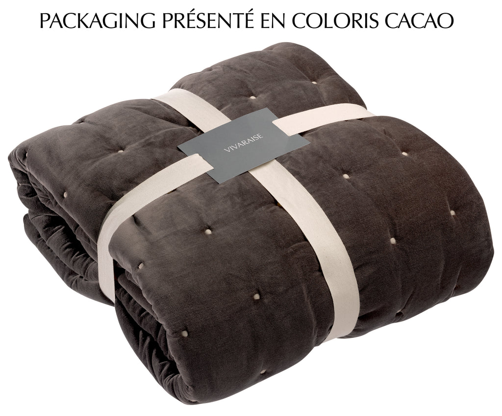 https://www.maisonvivaraise.com/phototheque/hd/1308315000_PS3.jpg