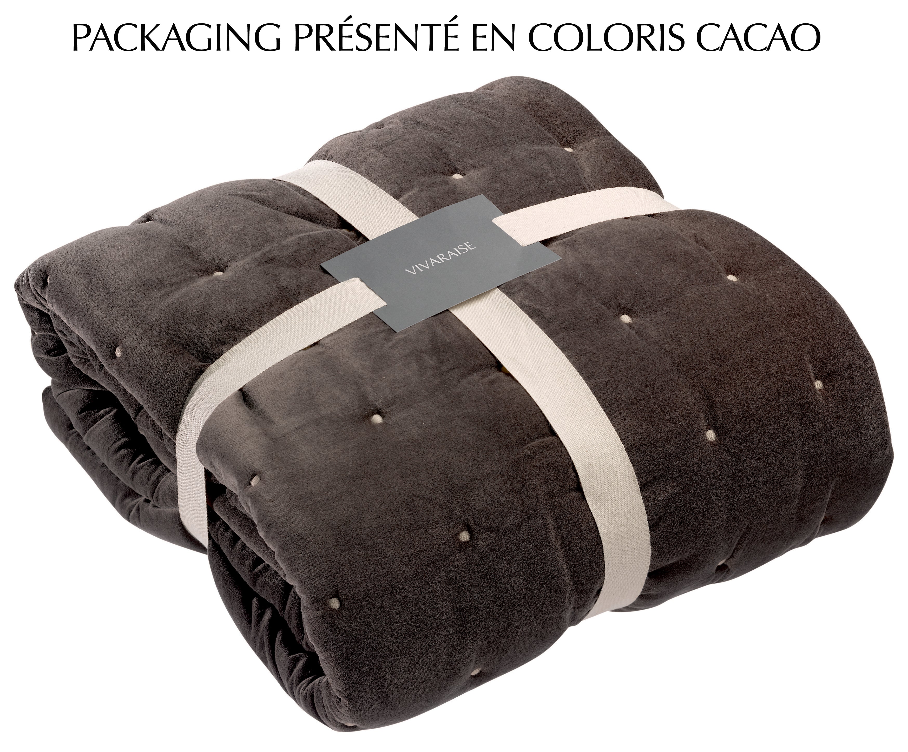 https://www.maisonvivaraise.com/phototheque/hd/1308315000_PS3.jpg
