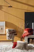 https://www.maisonvivaraise.com/phototheque/hd/1708215000_PS5.jpg
