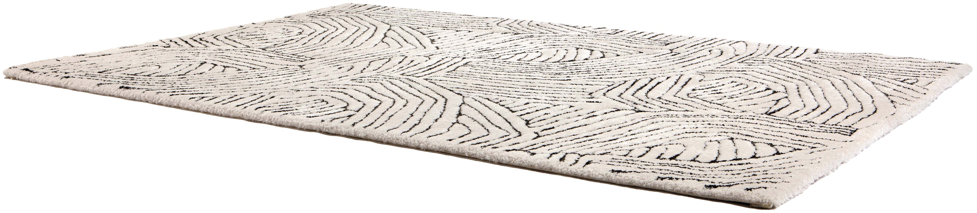 https://www.maisonvivaraise.com/phototheque/hd/1900015000_PS2.jpg