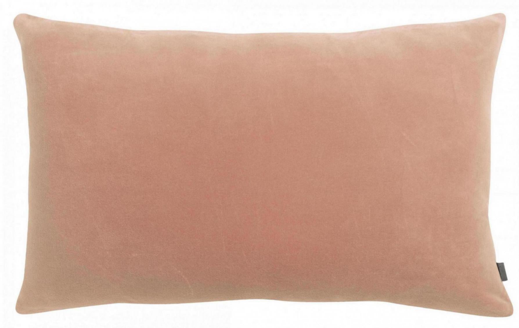 https://www.maisonvivaraise.com/phototheque/hd/2411045000_PS.jpg