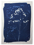 https://www.maisonvivaraise.com/phototheque/hd/3000778000_PS.jpg