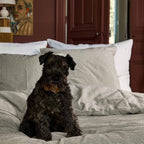 https://www.maisonvivaraise.com/phototheque/hd/3000863000_PS4.jpg