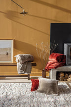 https://www.maisonvivaraise.com/phototheque/hd/5377053000_PS4.jpg