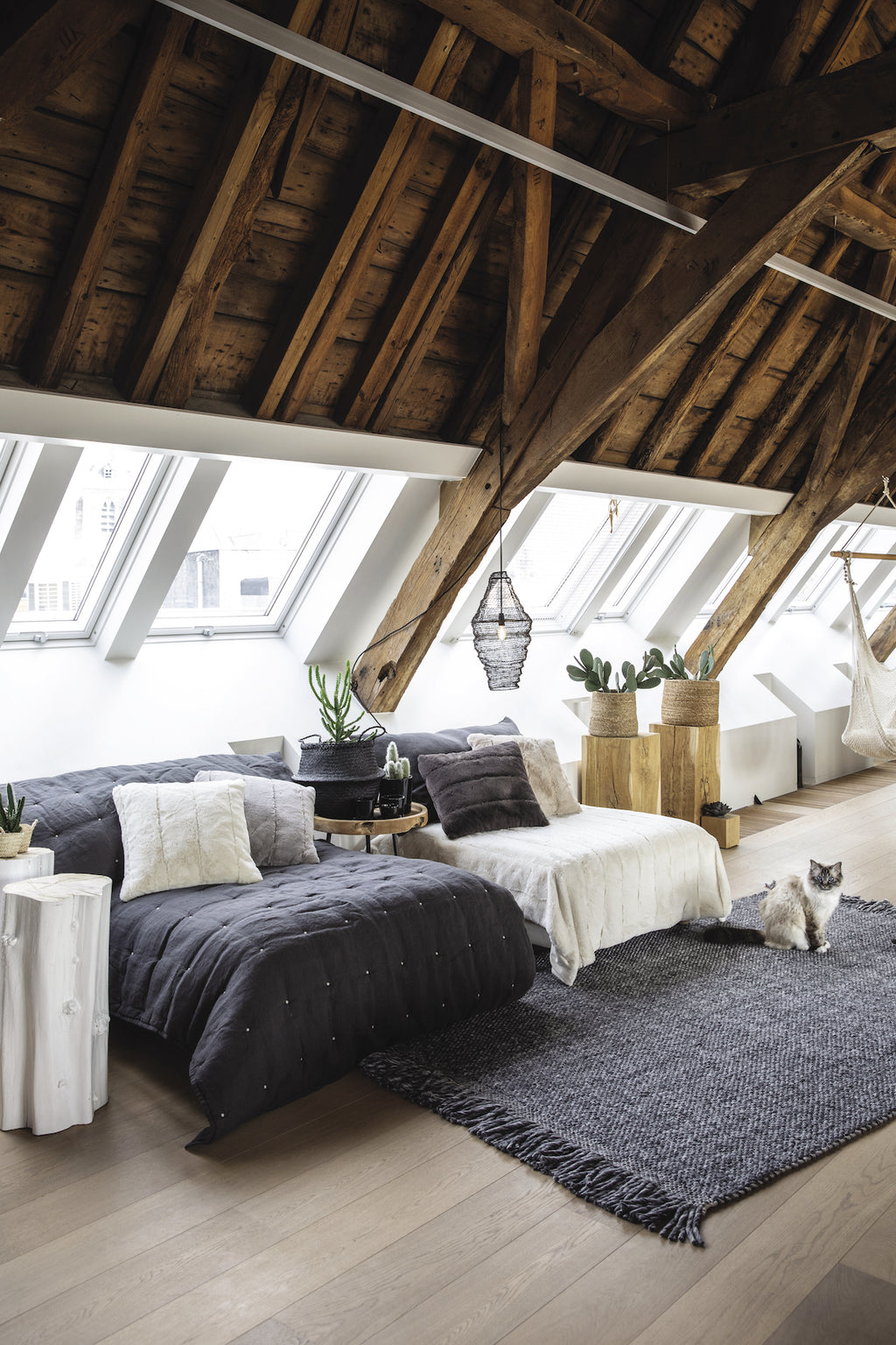 https://www.maisonvivaraise.com/phototheque/hd/7049070000_PS2.jpg
